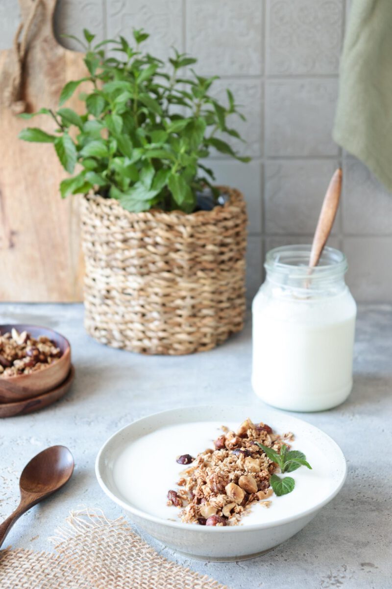 Selbstgemachter Joghurt mit Granola - Stylingkitchen