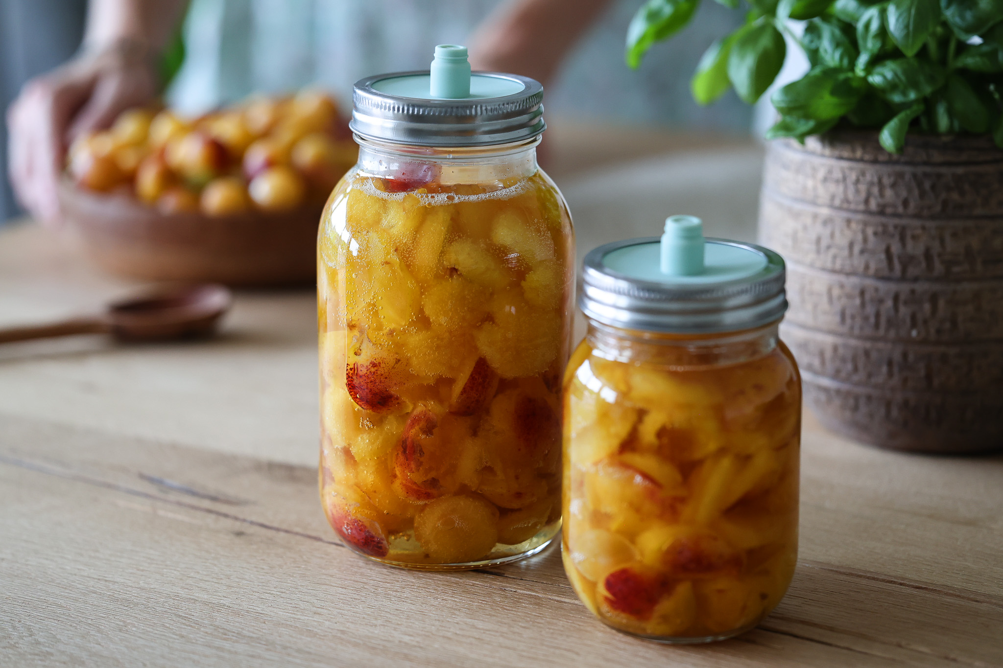 Gold aus dem Garten: Mirabellenessig selbst gemacht - Stylingkitchen